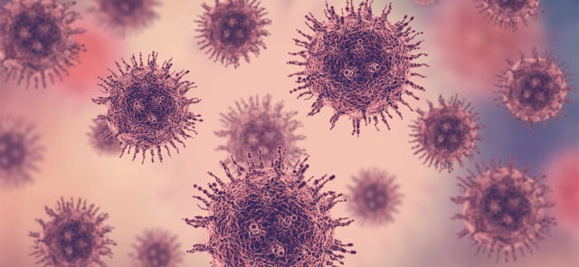 Coronavirus – All You Need To Know